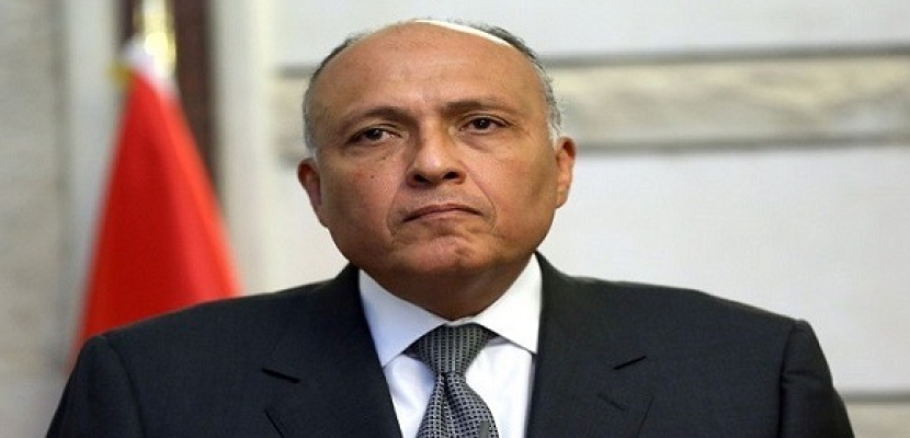 وزير الخارجية يبحث مع نظيره النرويجي دعم الاقتصاد المصري