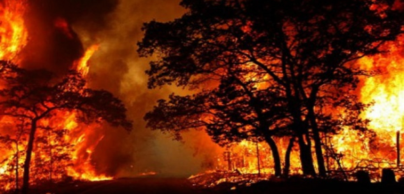 حرائق الغابات تجلي الآلاف في كاليفورنيا