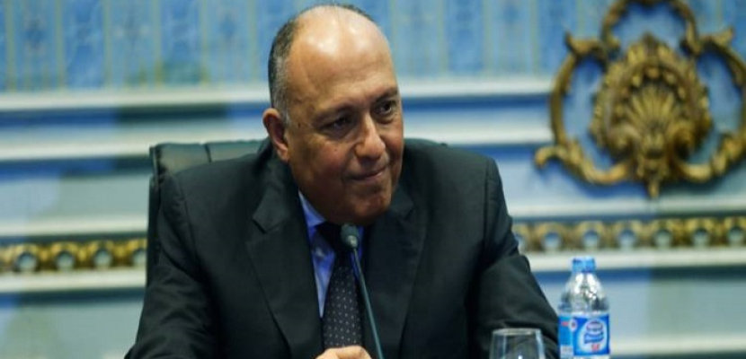 وزير الخارجية يعود إلى القاهرة قادما من الجزائر