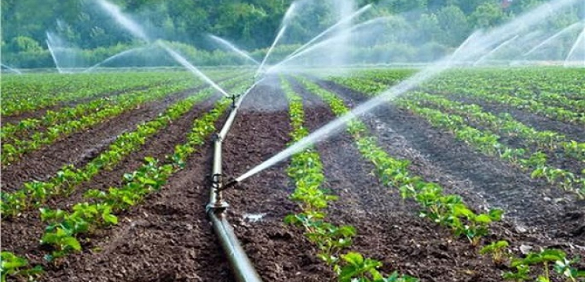 “الري الحديث”.. اهتمام كبير من الدولة لمواجهة الاحتياجات المائية المتزايدة وتوفير المياه للزراعة