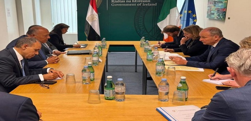وزير الخارجية يبحث الأوضاع في قطاع غزة مع نظيره الأيرلندي في بروكسل