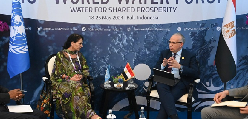 بالصور.. وزير الري يلتقي مدير عام اليونسكو للعلوم الطبيعية على هامش فعاليات المنتدى العالمي العاشر للمياه بإندونيسيا